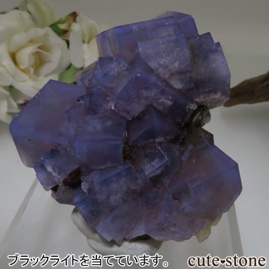 レディアナベラ Harvest Pocket産 フローライトの結晶（原石）No.1