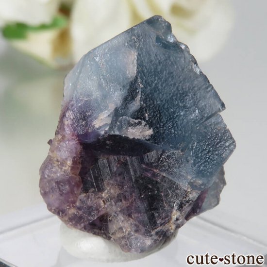 ե Petit Langenberg ֥롼ե饤Ȥθ No.4μ̿0 cute stone