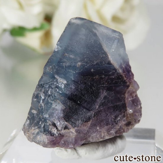 ե Petit Langenberg ֥롼ե饤Ȥθ No.4μ̿1 cute stone