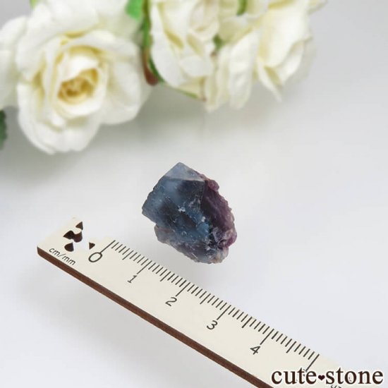 ե Petit Langenberg ֥롼ե饤Ȥθ No.4μ̿3 cute stone
