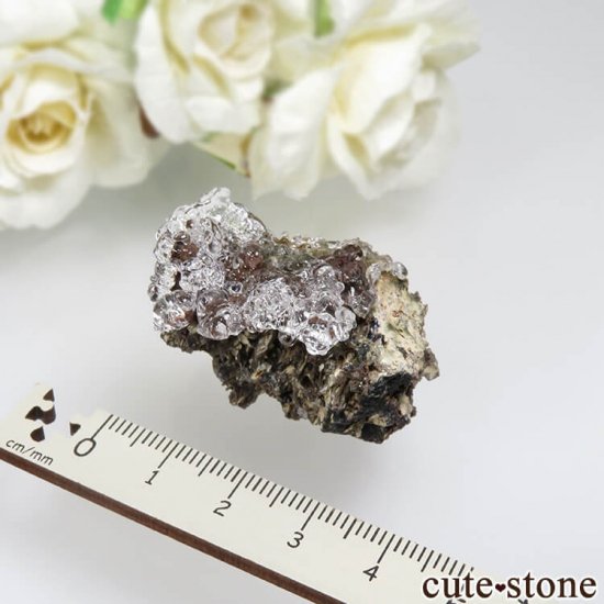 ϥ󥬥꡼ Kopasz Hill andesite quarry ϥ饤(ѡ)դ No.14μ̿2 cute stone