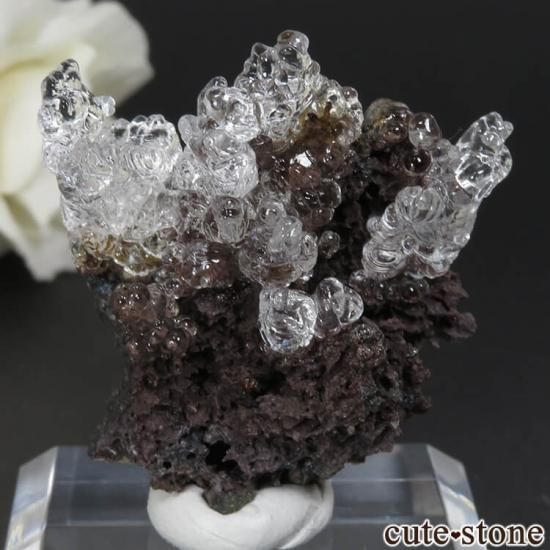 ϥ󥬥꡼ Kopasz Hill andesite quarry ϥ饤(ѡ)դ No.19μ̿1 cute stone