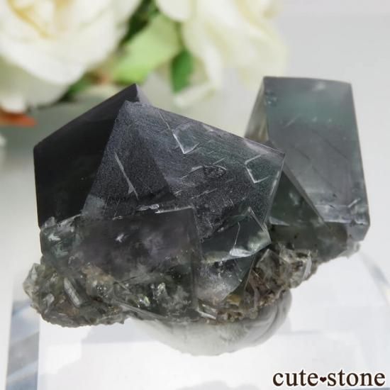 ǥʥ٥ Helen's Pocket ե饤Ȥη뾽ʸСNo.1μ̿1 cute stone