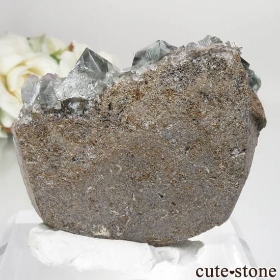 ǥʥ٥ Helen's Pocket ե饤Ȥη뾽ʸСNo.2μ̿1 cute stone