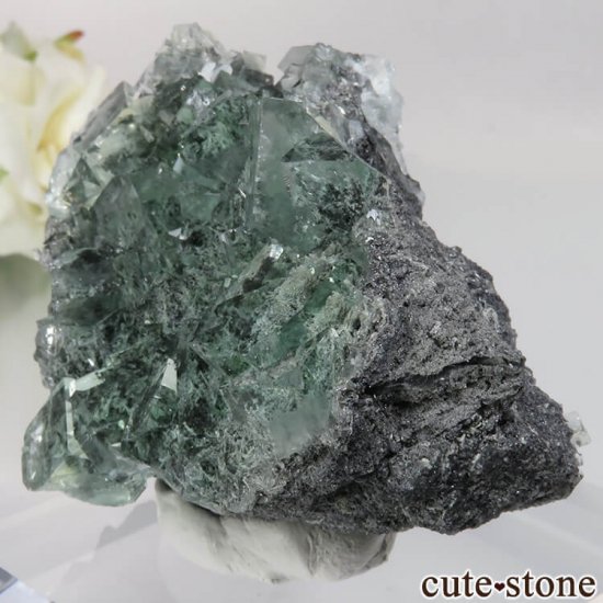  Xianghualing Mine ꡼ե饤Ȥθ No.41μ̿2 cute stone