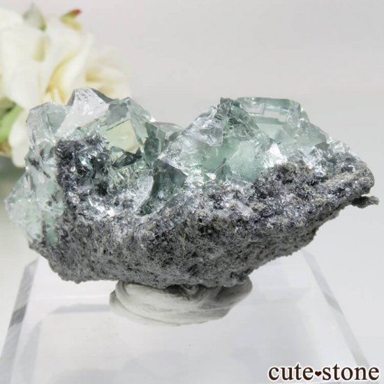  Xianghualing Mine ꡼ե饤Ȥθ No.42μ̿1 cute stone