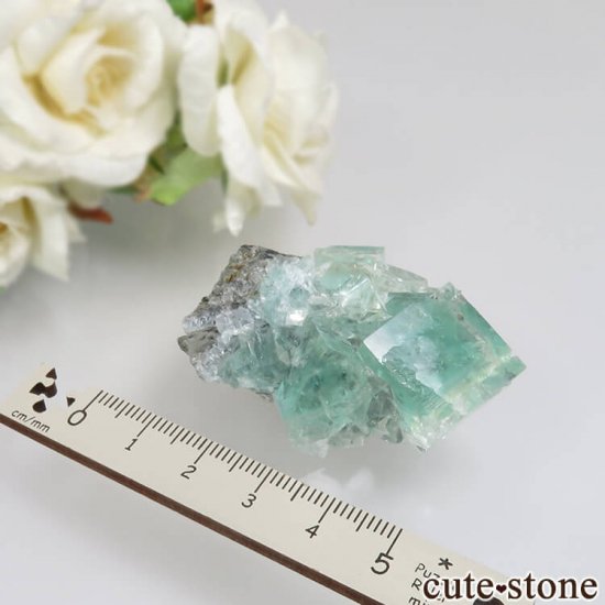  Xianghualing Mine ꡼ե饤ȡޥθ No.45μ̿5 cute stone