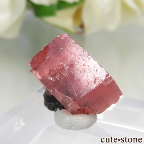 ɽ Sweet Home Mine ɥ No.9μ̿2 cute stone