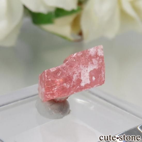 ɽ Sweet Home Mine ɥ No.10μ̿1 cute stone