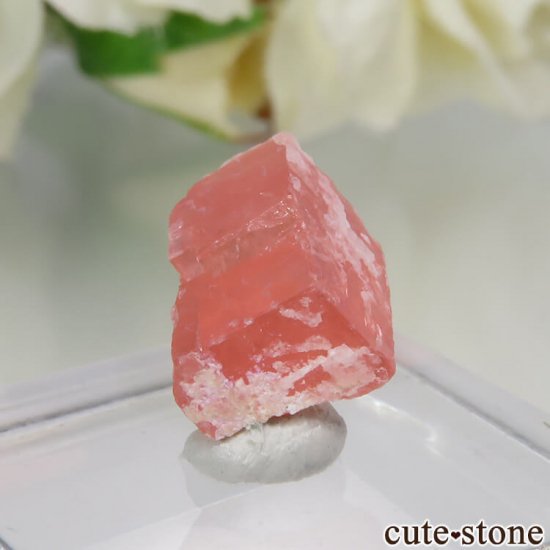 ɽ Sweet Home Mine ɥ No.10μ̿2 cute stone