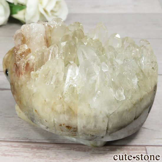 Τ罸 徽ǤǤᤵ No.5μ̿2 cute stone