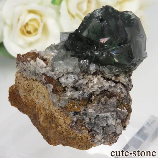 ǥʥ٥ Fairy Holes ե饤Ȥդ뾽ʸСNo.1μ̿1 cute stone