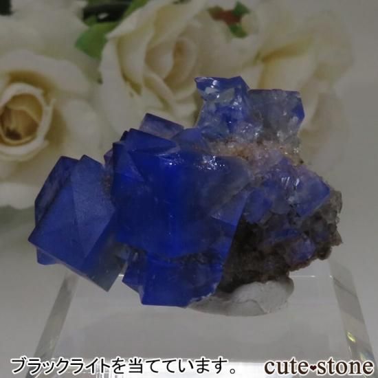 ǥʥ٥ Fairy Holes ե饤Ȥդ뾽ʸСNo.3μ̿3 cute stone