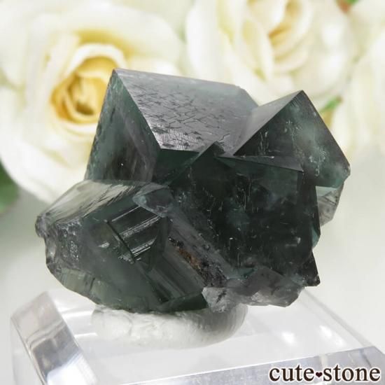 ǥʥ٥ Fairy Holes ե饤Ȥη뾽ʸСNo.9μ̿1 cute stone