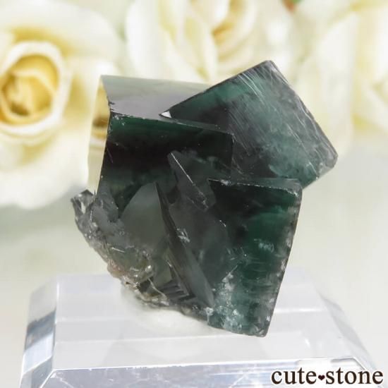 ǥʥ٥ Fairy Holes ե饤Ȥη뾽ʸСNo.12μ̿1 cute stone