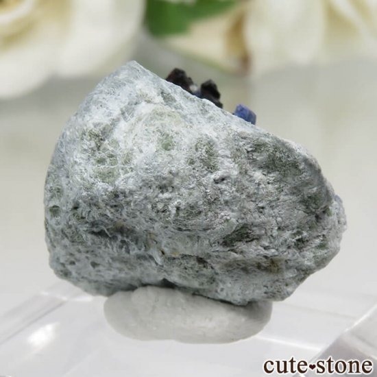 ե˥ ٥˥ȥȡͥץʥȤդ No.83μ̿0 cute stone
