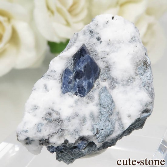 ե˥ ٥˥ȥȤդ No.84μ̿0 cute stone