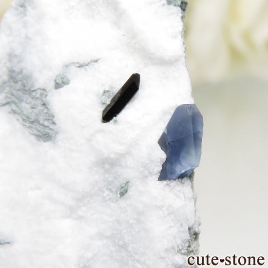 ե˥ ٥˥ȥȡͥץʥȤդ No.85μ̿1 cute stone