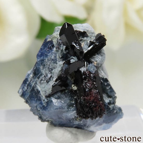 カリフォルニア産 ベニトアイト＆ネプチュナイト No.87 - cute stone -