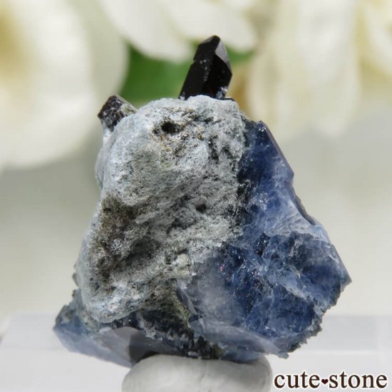 ե˥ ٥˥ȥȡͥץʥ No.87μ̿1 cute stone