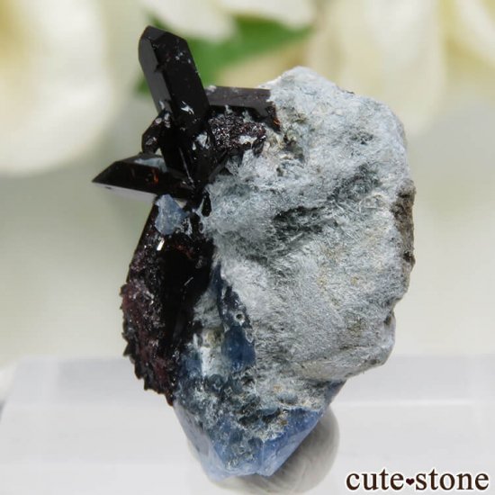 ե˥ ٥˥ȥȡͥץʥ No.87μ̿2 cute stone