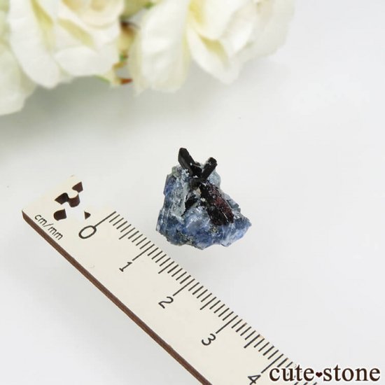 ե˥ ٥˥ȥȡͥץʥ No.87μ̿3 cute stone