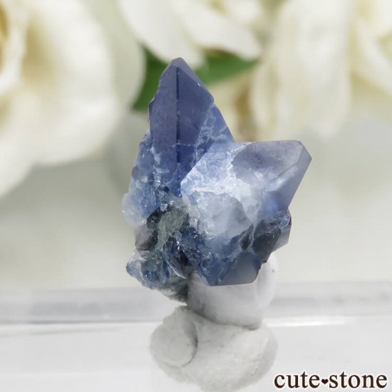 ե˥ ٥˥ȥȤդ No.88μ̿0 cute stone
