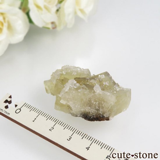 ǥʥ٥ Lemon Meringue Pocket ե饤ȡĤθСNo.3μ̿2 cute stone