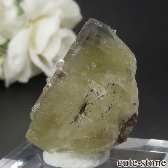 ǥʥ٥ Lemon Meringue Pocket ե饤ȡĤθСNo.4μ̿1 cute stone