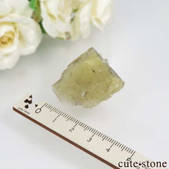 ǥʥ٥ Lemon Meringue Pocket ե饤ȡĤθСNo.4μ̿2 cute stone