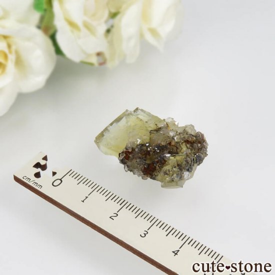 ǥʥ٥ Lemon Meringue Pocket ե饤ȡĤθСNo.5μ̿2 cute stone