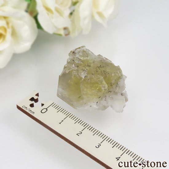 ǥʥ٥ Lemon Meringue Pocket ե饤ȤθСNo.6μ̿2 cute stone