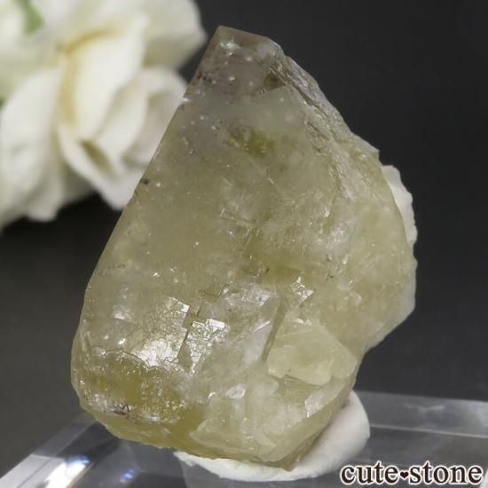 ǥʥ٥ Lemon Meringue Pocket ե饤ȤθСNo.7μ̿1 cute stone