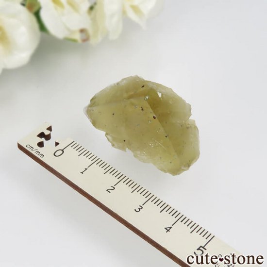 ǥʥ٥ Lemon Meringue Pocket ե饤ȤθСNo.7μ̿4 cute stone