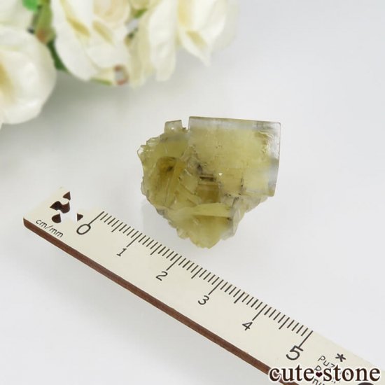 ǥʥ٥ Lemon Meringue Pocket ե饤ȤθСNo.8μ̿3 cute stone