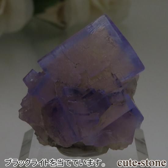 140 UK レディアナベラ Purple Rain Pocket フローライト 140 UK レディアナベラ Purple Rain Pocket フローライト 140 UK