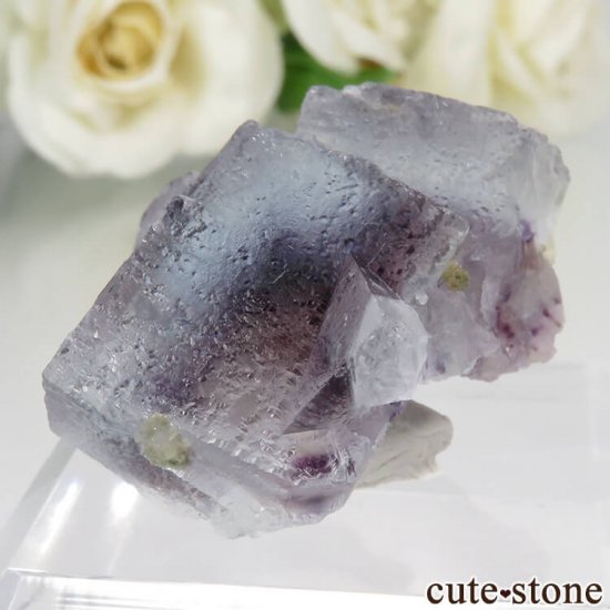 󥴥뼫 Yindu Ag-Pb-Zn deposit ե饤Ȥθ No.9μ̿1 cute stone