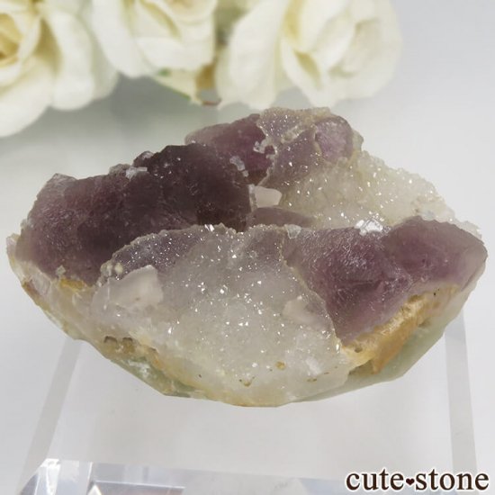  󥴥뻺 ѡץե饤ȡĤθ No.38μ̿1 cute stone