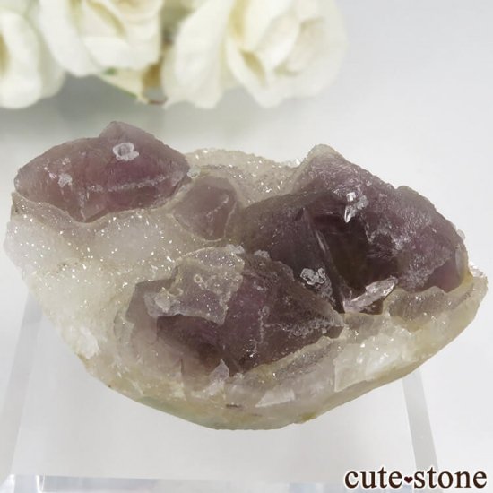  󥴥뻺 ѡץե饤ȡĤθ No.38μ̿2 cute stone