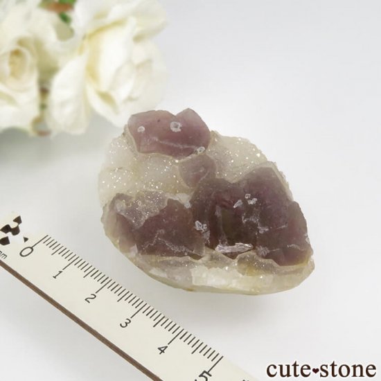  󥴥뻺 ѡץե饤ȡĤθ No.38μ̿3 cute stone