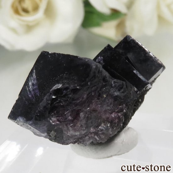  󥴥뻺 ѡץե饤Ȥθ No.39μ̿1 cute stone