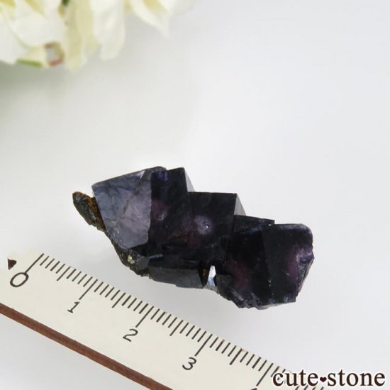  󥴥뻺 ѡץե饤Ȥθ No.39μ̿3 cute stone