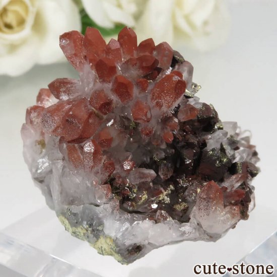  ʻ ġإޥȤθ No.1μ̿1 cute stone