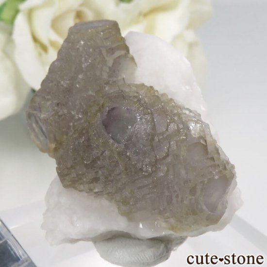  󥴥뻺 Huanggang ߥѡץߥ֥롼꡼󥰥꡼ե饤ȡĤθ No.1μ̿1 cute stone