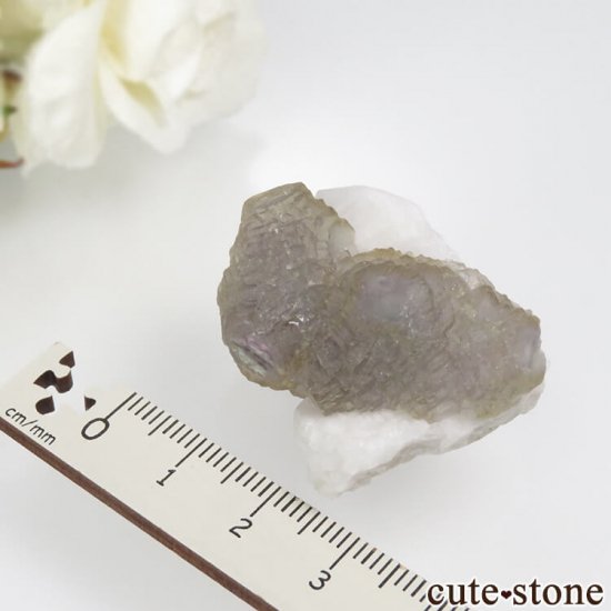  󥴥뻺 Huanggang ߥѡץߥ֥롼꡼󥰥꡼ե饤ȡĤθ No.1μ̿3 cute stone