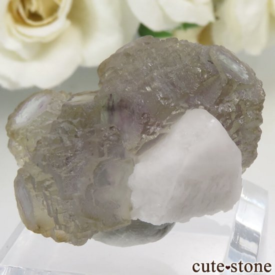  󥴥뻺 Huanggang ߥѡץߥ֥롼꡼󥰥꡼ե饤ȡĤθ No.2μ̿0 cute stone