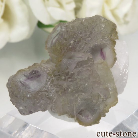  󥴥뻺 Huanggang ߥѡץߥ֥롼꡼󥰥꡼ե饤ȡĤθ No.2μ̿1 cute stone
