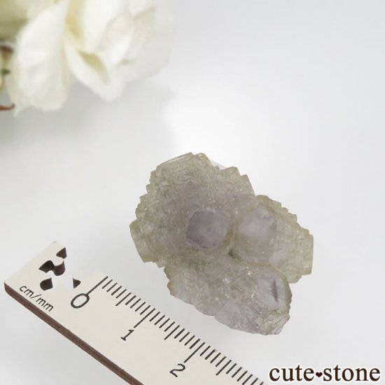  󥴥뻺 Huanggang ߥѡץߥ֥롼꡼󥰥꡼ե饤ȡĤθ No.2μ̿4 cute stone