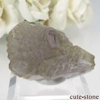  󥴥뻺 Huanggang ߥѡץߥ֥롼꡼󥰥꡼ե饤ȡĤθ No.2β