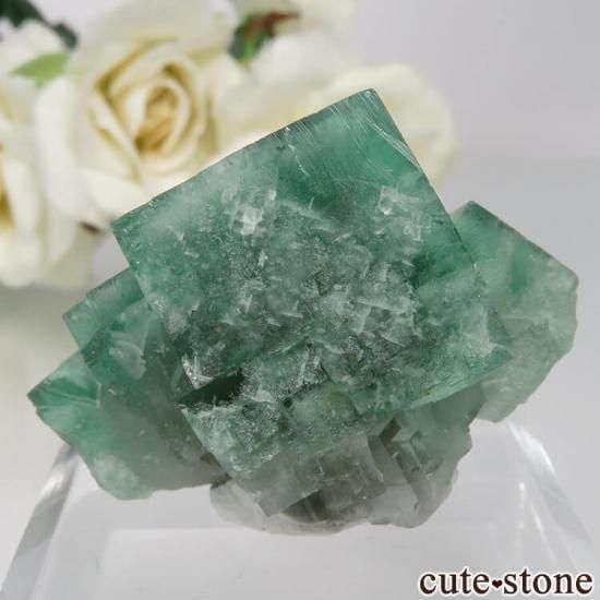 フローライト 25：レディアナベラ 403 イギリス レディアナベラ鉱山